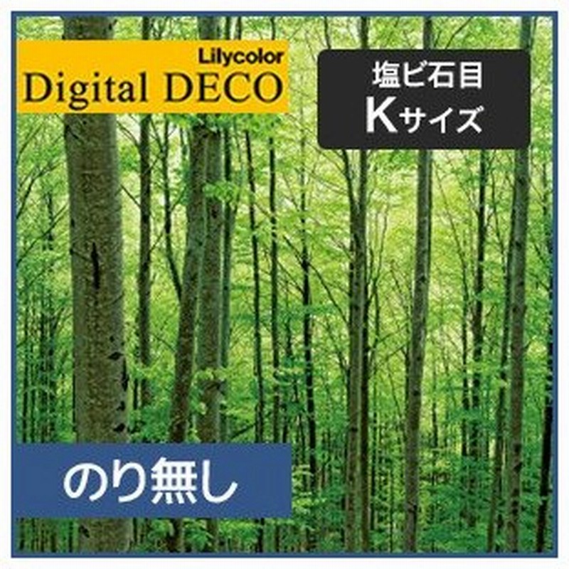 壁紙 クロス のり無し リリカラ デジタル デコ 森の惑星 新緑ブナの森 塩ビ石目 Kサイズ D80wk 通販 Lineポイント最大0 5 Get Lineショッピング