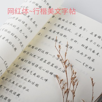 【送100張臨摹紙】硬筆書法練字帖女生字體 漂亮網紅字帖大學生