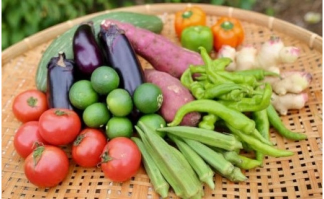 採れたて新鮮園主おすすめ季節の野菜セット