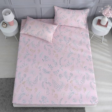 雙人加大床包枕套組/美國棉授權品牌 300織/ 莉薇亞 [鴻宇] 台灣製 - 2511