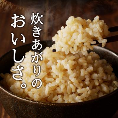 ふるさと納税 焼津市 令和5年産新米 30年間無農薬・無肥料のお米(玄米)コシヒカリ5kg(a21-038)