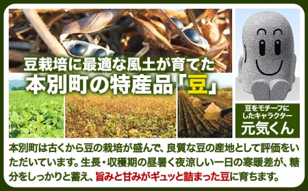 令和5年度産 北海道十勝 本別町産 金時豆 4kg 本別町農業協同組合《60日以内に順次出荷(土日祝除く)》北海道 本別町 豆 送料無料