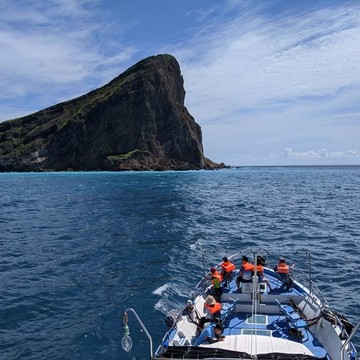 代收代付-【宜蘭 | 賞鯨龜山島】新福豐 36 號 / 賞鯨環龜山島含登島 / 兒童