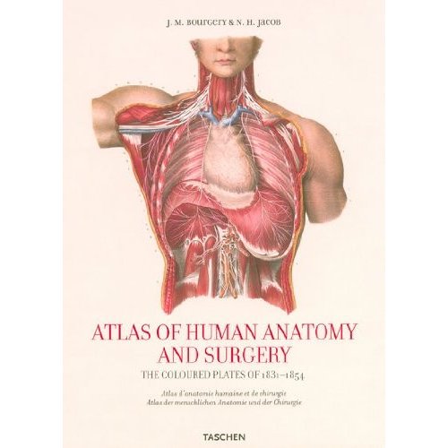 Atlas of Human Anatomy and Surgery (25th Anniversary Special Edtn)