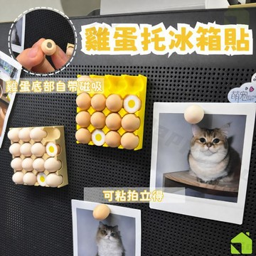 台灣出貨🔥雞蛋冰箱貼 鷄蛋托冰箱貼 鷄蛋磁吸貼 照片磁吸貼  拍立得磁吸貼 磁吸冰箱貼 創意冰箱貼 磁吸雞蛋冰箱貼