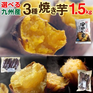 焼き芋食べ比べ 1.5kg（500g×3袋）選べる 安納芋 シルクスイート 紅はるか 鹿児島県産 送料無料 クール