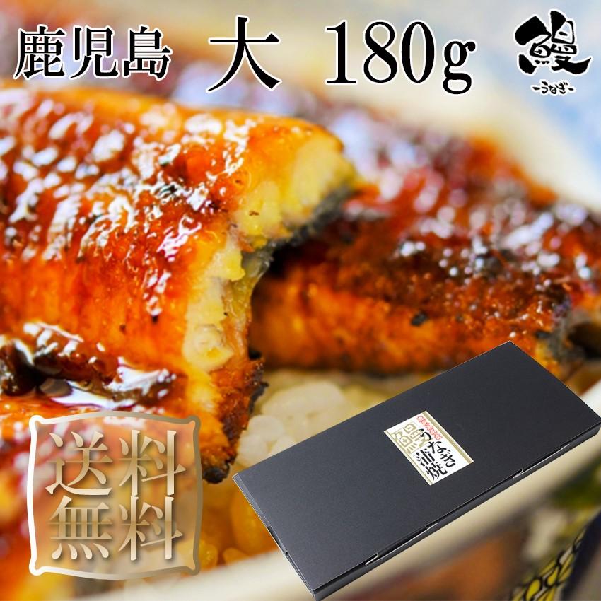 うなぎ蒲焼 大 180g 1本 御歳暮 ギフト プレゼント 送料無料 鹿児島産 鰻