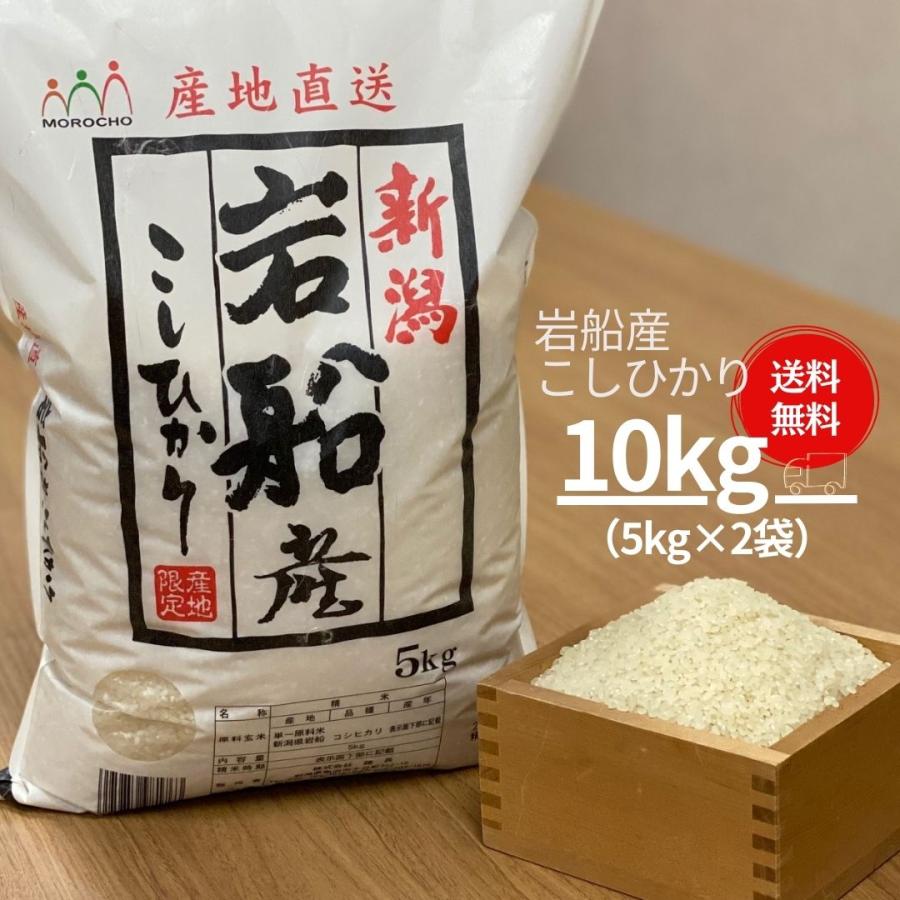 新米 米 お米 10kg  コシヒカリ こしひかり 岩船産 5kg×2袋  本州送料無料 令和5年産