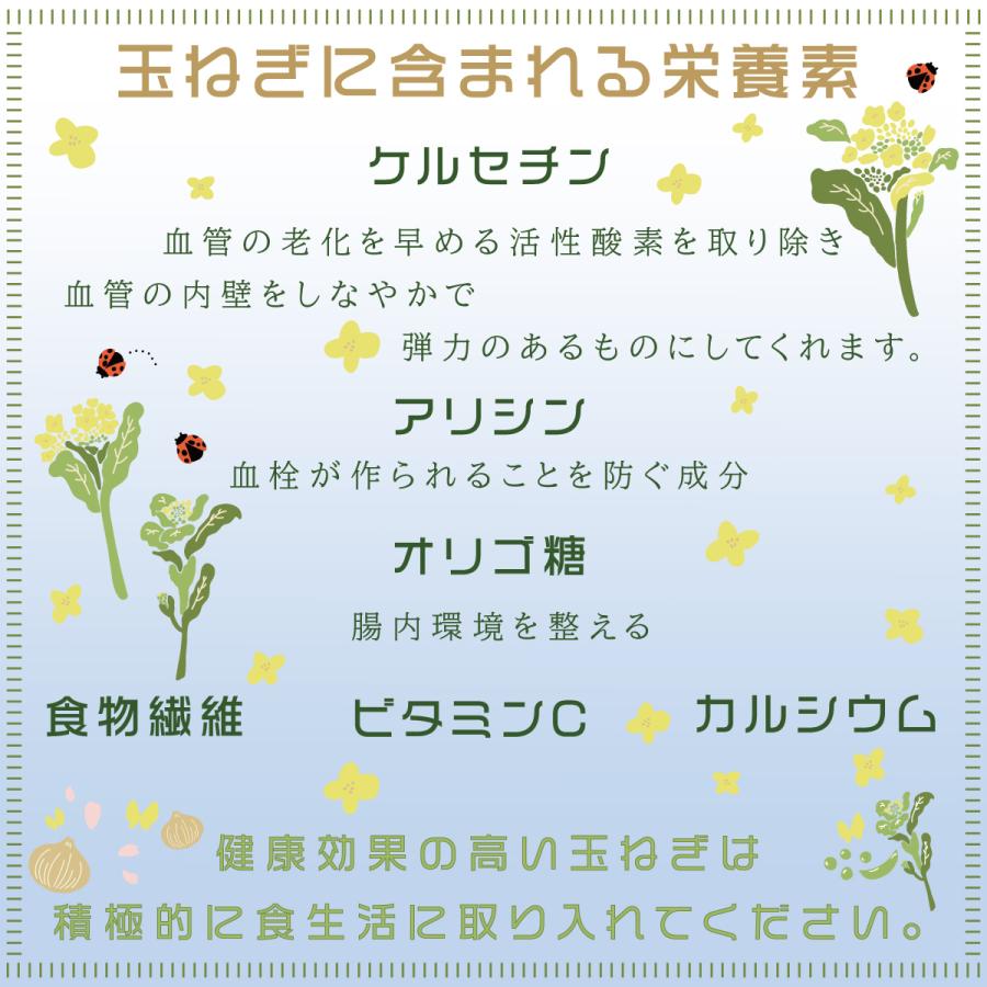 淡路島玉ねぎ3kg ドレッシングレシピ付き 新玉ねぎ たまねぎ タマネギ 玉ねぎ 乾燥玉ねぎ