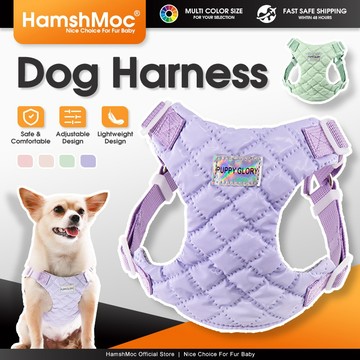 HamshMoc 可愛狗狗胸揹帶 可調整輕質寵物揹帶 舒適透氣 步入式 狗背心 高品質小中型犬戶外遛狗用品 【現貨速發】