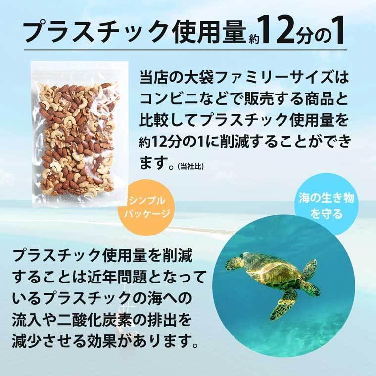 珍味 おつまみ あなご アナゴ 焼穴子 珍味 業務用 大容量500gサイズ 新潟銘酒 能鷹 使用 清酒仕込み 炙りあなご 500g