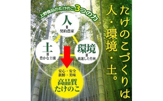 akune-2-41 ＜先行予約受付中！2024年3月から順次発送予定＞数量限定！朝堀り青果たけのこ(約1.5kg)国産 新鮮 タケノコ 竹の子 筍 野菜 春 旬 期間限定2-41