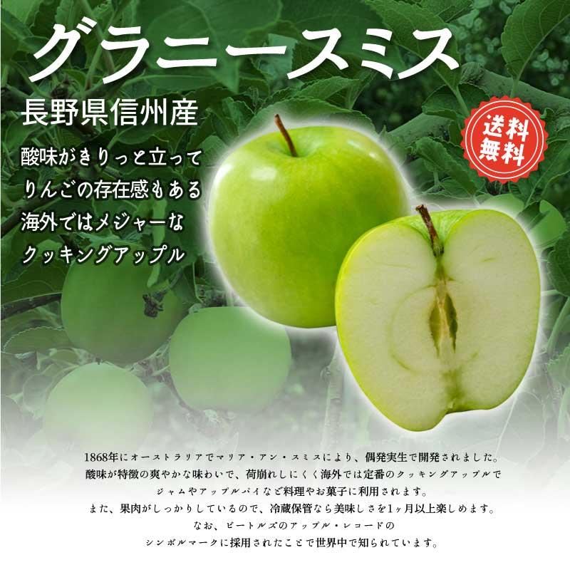 りんご グラニースミス 約3kg 2023年収穫 信州 長野県産 期間限定