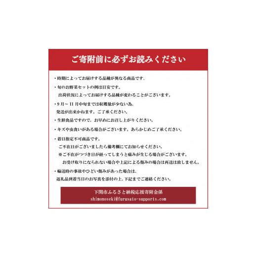 ふるさと納税 山口県 下関市 旬 の 野菜 詰め合わせ セット 品 お楽しみ 産地直送 農家直送 季節 春 夏 秋 冬 露地野菜 やさい サラダ 農薬 化学肥料 不…