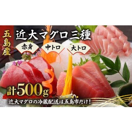 ふるさと納税 長崎県五島産 近大マグロ 約500g (大トロ・中トロ・赤身) まぐろ 刺.. 長崎県五島市