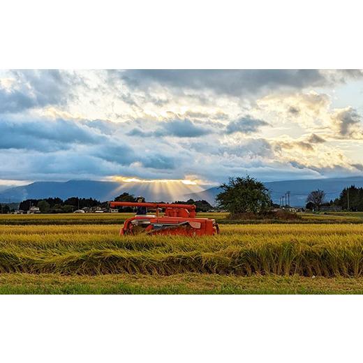 ふるさと納税 岩手県 八幡平市 「いわてっこ」精米10kg×3ヵ月定期便 ／ 新米 米 産地直送