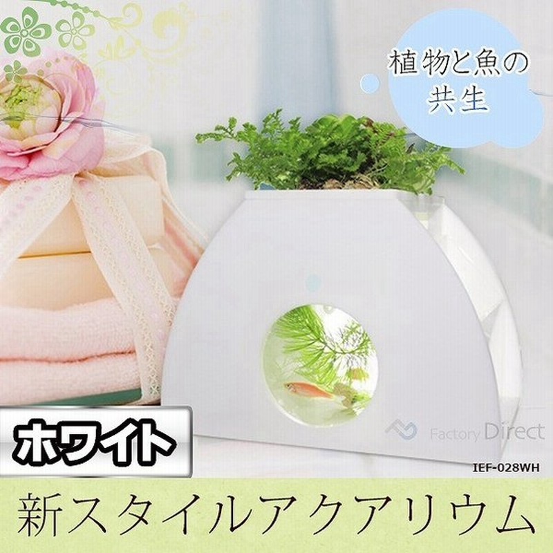 Ief 028wh アクアリウム水槽ホワイトベース 水槽 熟練した職人の手作り品 ハンドメイド 水槽 インテリア ガーデニング 小魚 観葉植物 水耕栽培 大人気の多肉植 通販 Lineポイント最大0 5 Get Lineショッピング
