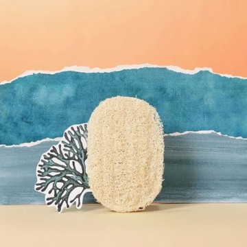 Pimpant 絲瓜纖維皂墊