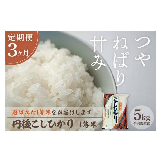 ふるさと納税 京都府 京丹後市 定期便 令和5年産 新米 丹後こしひかり 5kg×3ヵ月 1等米