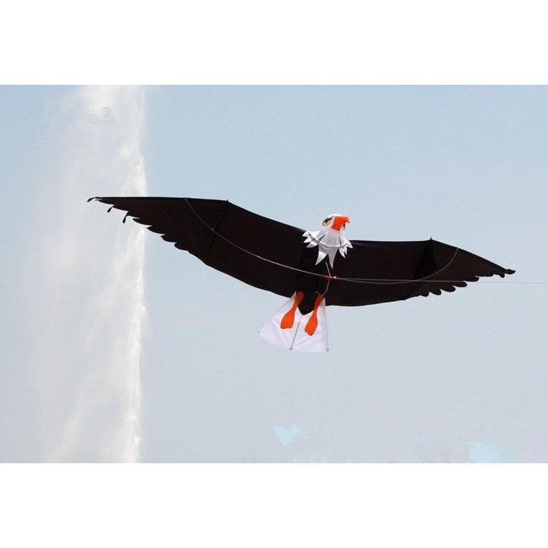 3D 凧 カイト イーグル 鷲 凧揚げ 屋外 レジャー 公園 アウトドア