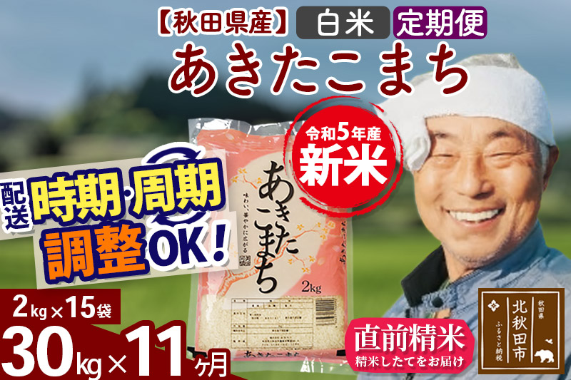 《定期便11ヶ月》＜新米＞秋田県産 あきたこまち 30kg(2kg小分け袋) 令和5年産 配送時期選べる 隔月お届けOK お米 おおもり|oomr-11011