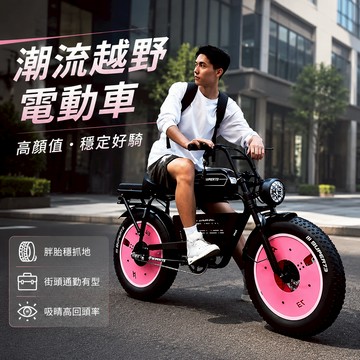 🔸台灣保固🔸越野電助力車 電動自行車 電助力越野車電動自行車 胖胎 鋰電助力山地車電動自行車 男女代步助力車 越野寬胎車