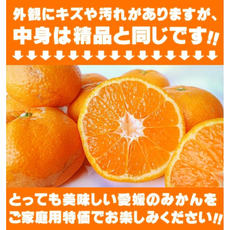 小玉みかん こまちゃん お試し用 2kg 愛媛県産 小玉 みかん 家庭用 訳あり 愛媛みかん 送料無料 プチ 小粒 2S 3S 箱買い 蜜柑 温州 早生 南柑 20号 SS 2キロ