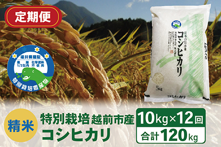 〈先行予約〉（令和5年度新米 精米）特別栽培 越前市産コシヒカリ 10kg×12回