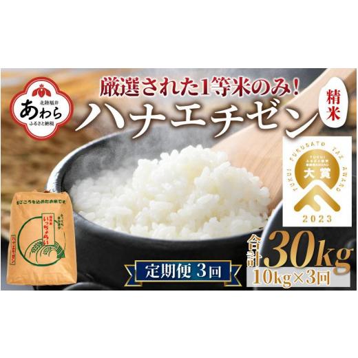 ふるさと納税 福井県 あわら市 令和5年産 ＜定期便3回＞ ハナエチゼン 精米 10kg×3回（30kg）《発送直前精米！》 ／ 福井県産 ブランド米 ご飯 白…