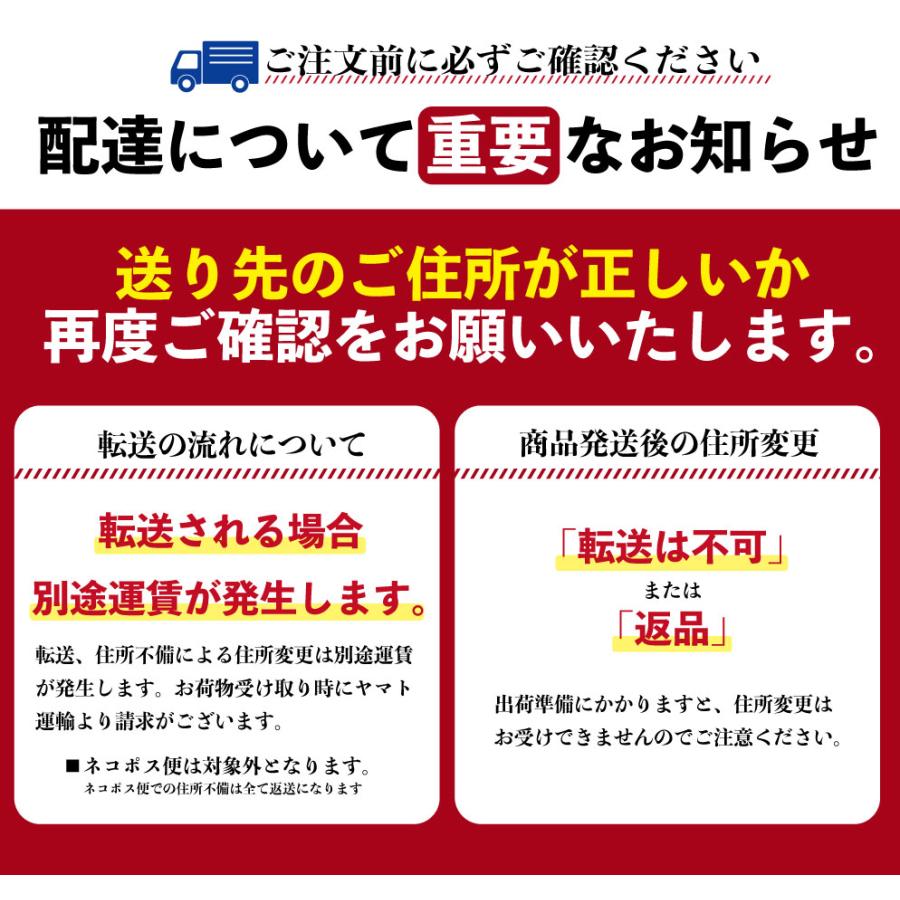 生パスタ フェットチーネ リングイネ スパゲティ 12袋 送料無料（北海道・沖縄・離島 1500円）業務用 ギフト グルメ 食品 大容量 まとめ買い