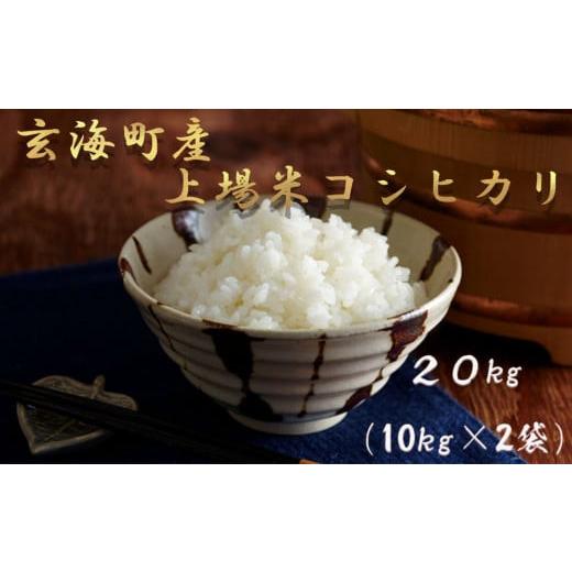 ふるさと納税 佐賀県 玄海町 佐賀県玄海町産こしひかり 上場米 20kg