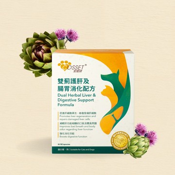 愛寵健雙薊護肝及腸胃消化配方