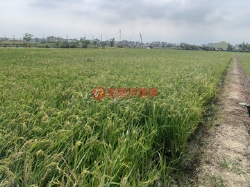 下營前後臨路便宜農地~出價談｜台南市下營區茅港尾