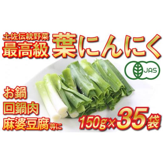 ふるさと納税 高知県 須崎市 葉 ニンニク 150g×35袋 冷凍 有機栽培 有機野菜 無農薬 健康食品 有機JAS認定 高知県産 須崎市