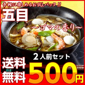 ラーメン あんかけ 五目味 専用とろみ粉付 中華風 スープ 胡麻風味 お取り寄せ お試し セット 2人前 餡かけ醤油 米酢 ポイント消化 500円