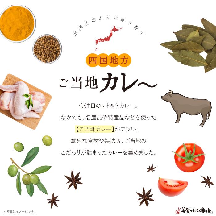 ■ご当地 カレー 詰め合わせ 四国地方■  レトルト カレー 名産品 特産品 お取り寄せ グルメ ギフト ご自宅用にも