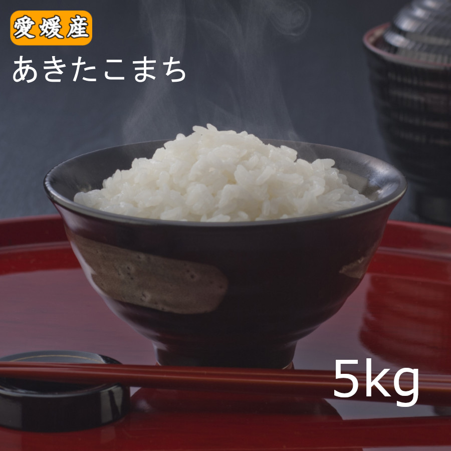 白米 5キロ 米 「愛媛県産 あきたこまち 5kg」 令和5年産 送料無料 ※北海道.東北.沖縄は地域別送料加算