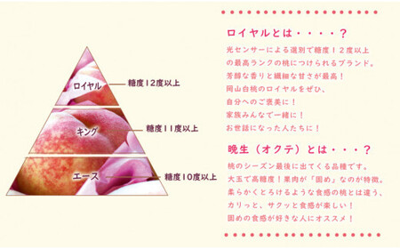 岡山県産 白桃（晩生種） 最高ランク！ロイヤル約4kg 8～15玉（令和６年8月以降発送）