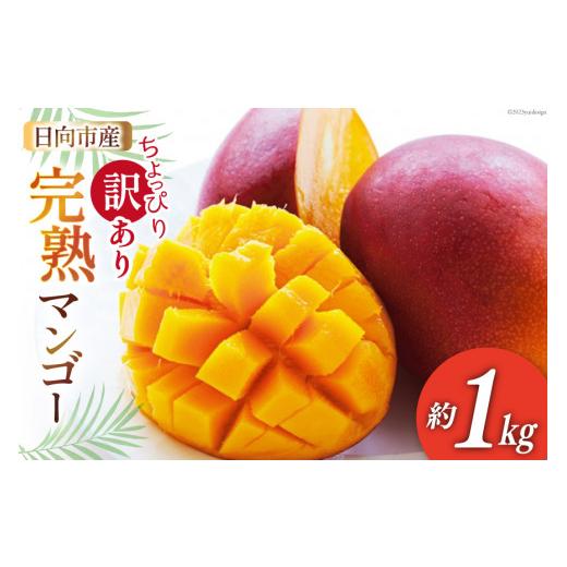 ふるさと納税 宮崎県 日向市 マンゴー  宮崎 マンゴー 訳あり 約 1kg [JA日向 宮崎県 日向市 452060391] 日向 完熟マンゴー 完熟 家庭用