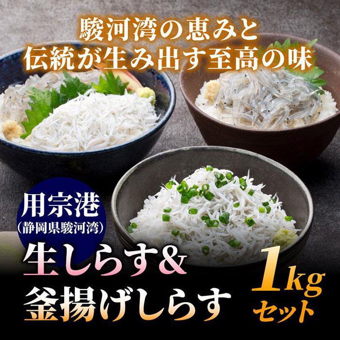 鮮度抜群！静岡県産 生しらす＆釜揚げしらす1kgセット シラス しらす 生シラス 釜揚げ 冷凍 用宗港 駿河湾 しらす丼 静岡産 グルメ