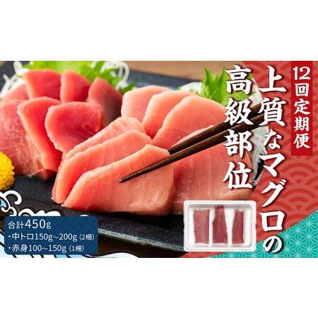 ふるさと納税 長崎県産 本マグロ 中トロ・赤身セット 450g 長崎県