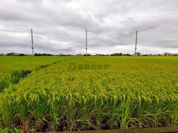 宜蘭壯圍壯志段大面寬可投資增值農地｜宜蘭縣壯圍鄉壯志段
