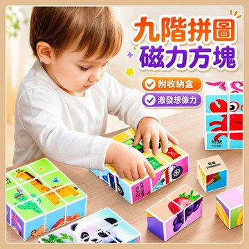 台灣現貨🧸磁力拼圖 六面體拼圖 磁性六面體拼圖 磁性拼圖 磁鐵拼圖 兒童拼圖 拼圖 早教玩具 益智玩具 拼圖 拼圖玩具