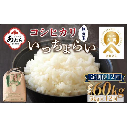 ふるさと納税 福井県 あわら市 《定期便12回》いっちょらい 無洗米 5kg（計60kg） ／ 福井県産 ブランド米 コシヒカリ ご飯 白米 新鮮 大賞 受賞…