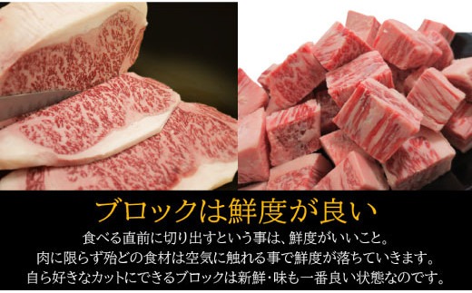 宮崎牛サーロインブロック500g