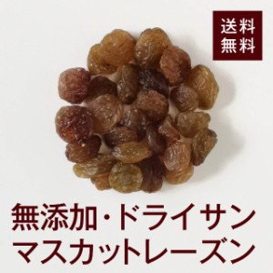 ドライサンマスカットレーズン500ｇ（無添加！砂糖不使用！）爽やかな酸味と上品な甘さのレーズンです！チャック付き