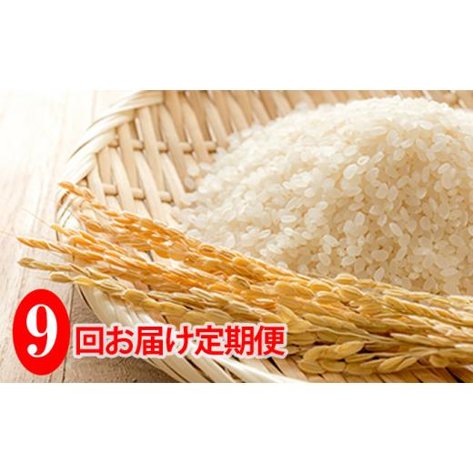 ふるさと納税 北海道 共和町 ◆9ヶ月連続定期便◆JAきょうわ米  ななつぼし5kg