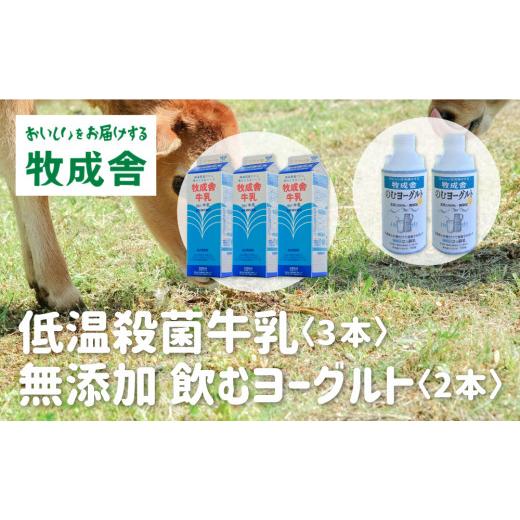 ふるさと納税 岐阜県 飛騨市 《牧成舎》飲むヨーグルト＆牛乳 毎月1回×6ヶ月お届け定期便  低温殺菌牛乳 3本 無添加 飲むヨーグルト 2本 飛騨産生乳100%使用