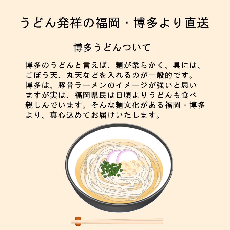 1,000円・送料無料】国産小麦100％うどん 600g 6人前 あごだしスープ付（麺のみなら800ｇ８人前）