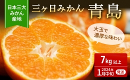 三ヶ日みかん 青島 7kg以上